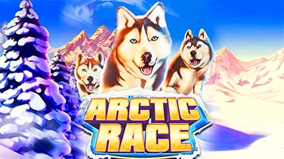 Arctic Race