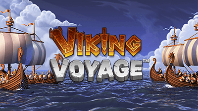 Viking Voyage